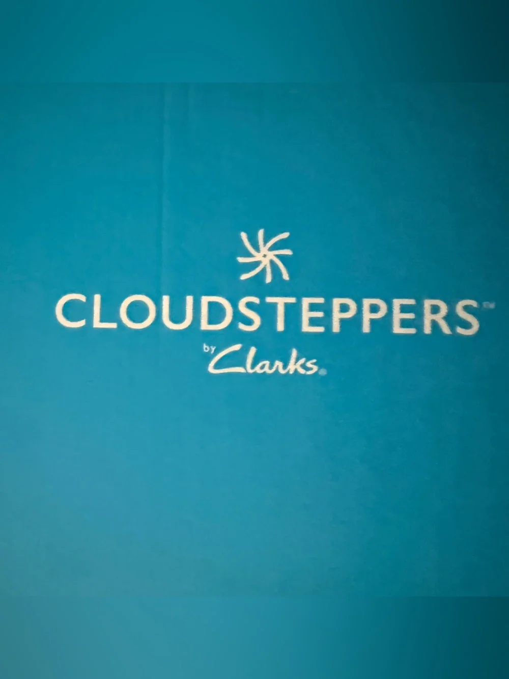 Cloudsteppers by Clarks Navy and white Slip-On PillowSoft Slide Sandal
